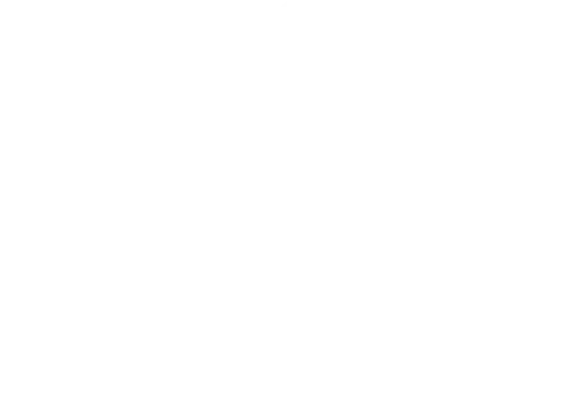 Fresh Express